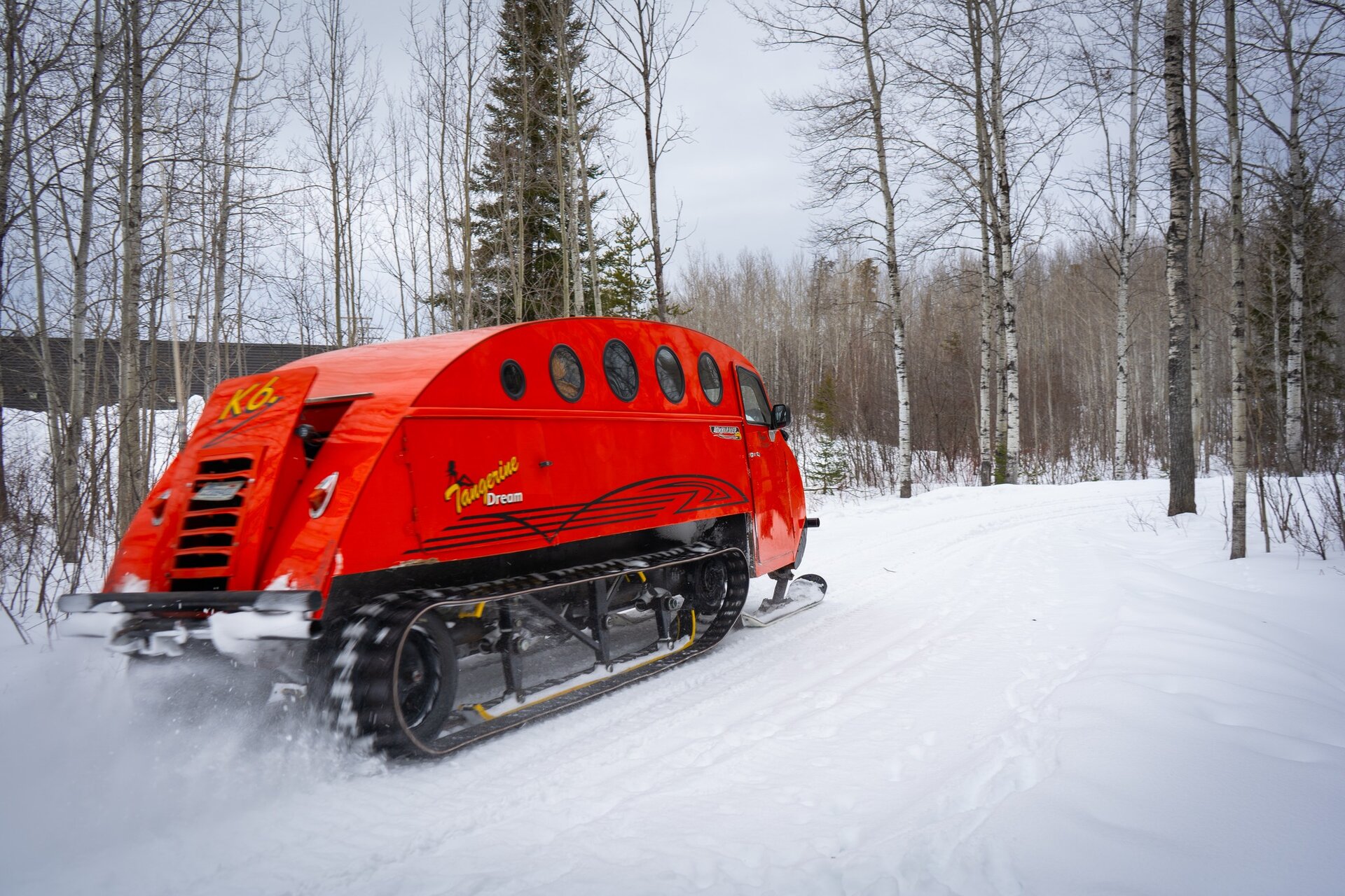 Motoneige B12 en forêt