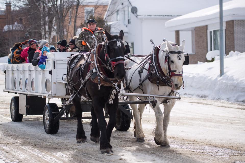 Promenade en calèche